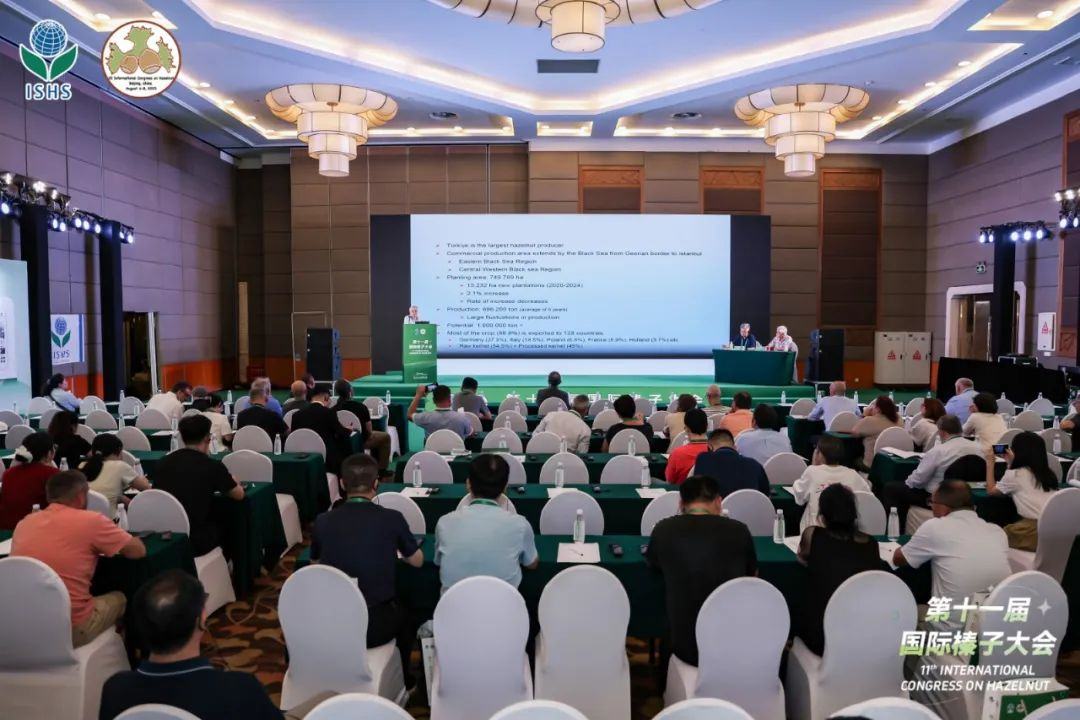 1754466714355511.png 圖片2.png