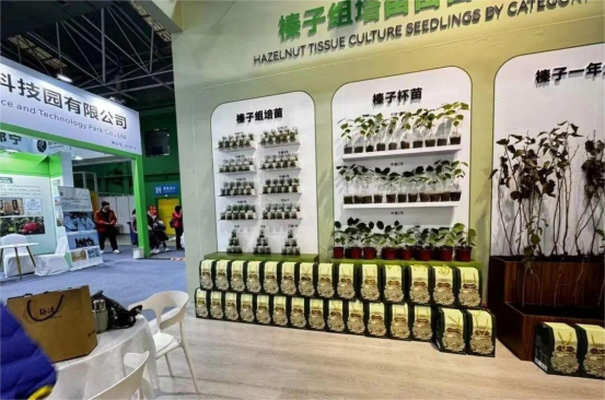 1761881629686904.png image.png